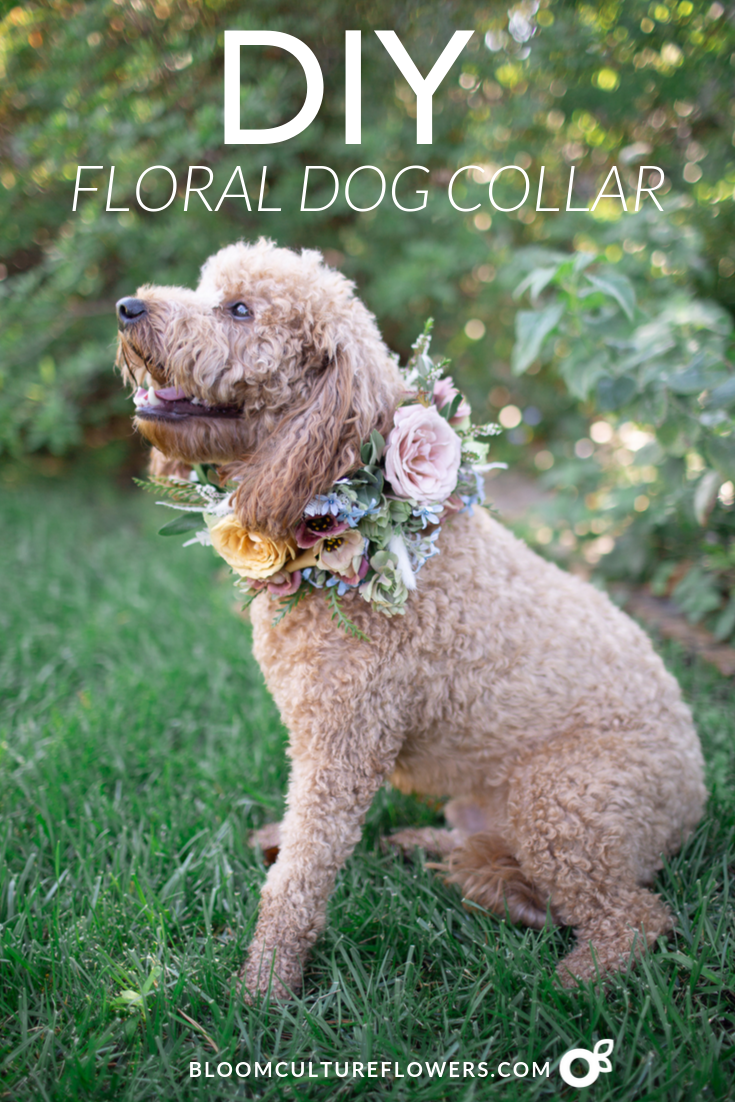 Diy dog collar deals flower