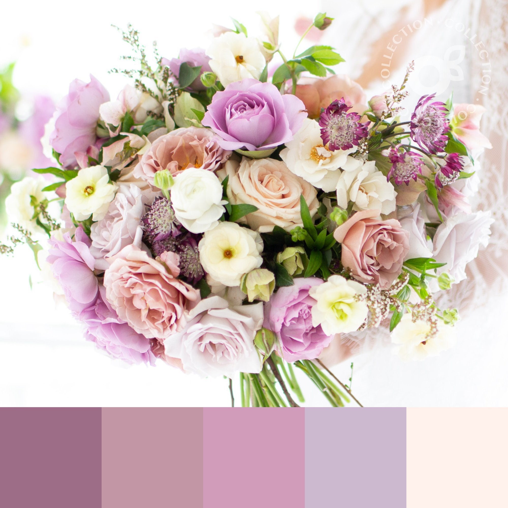 The Lavender Collection