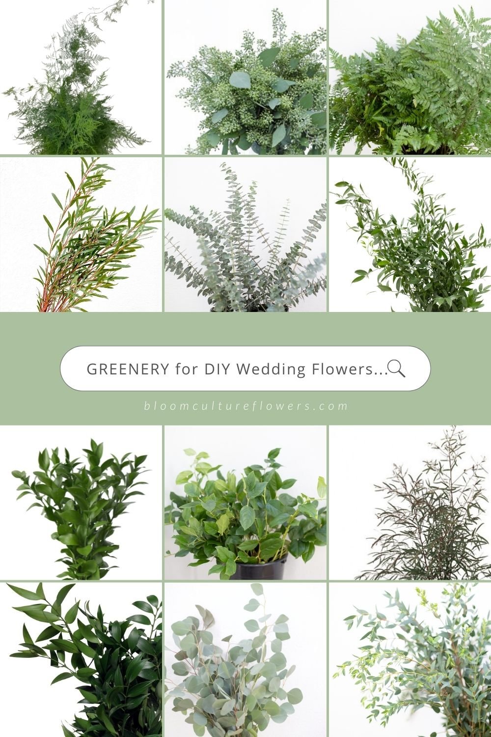 Top 10 Types of Greenery to Use for Your DIY Wedding Flowers