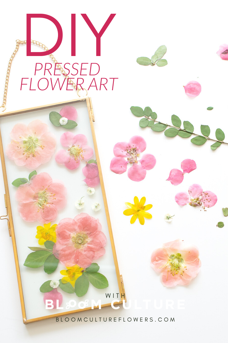 DIY Pressed Flower Art