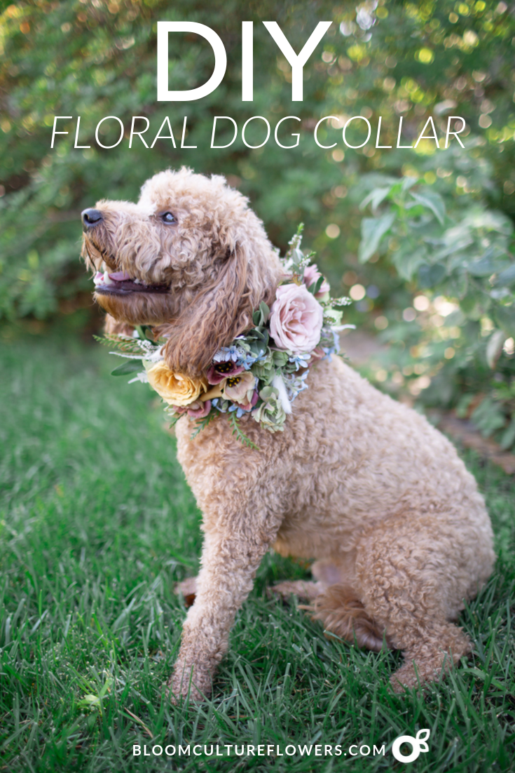 DIY: Floral Dog Collar