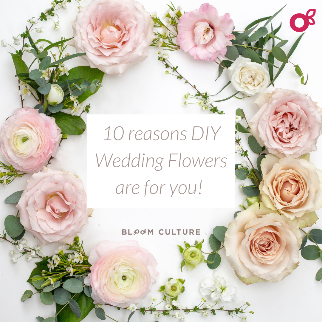10 Reasons Why DIY is For You…