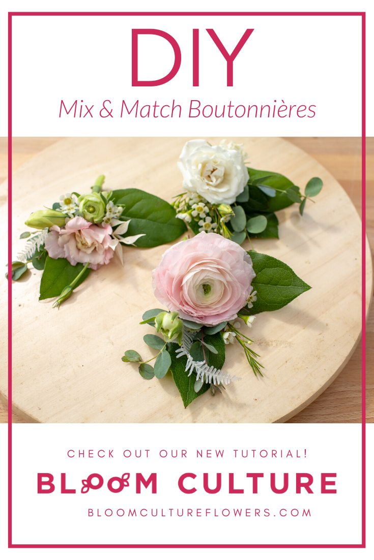 The Scoop on the DIY Bout.