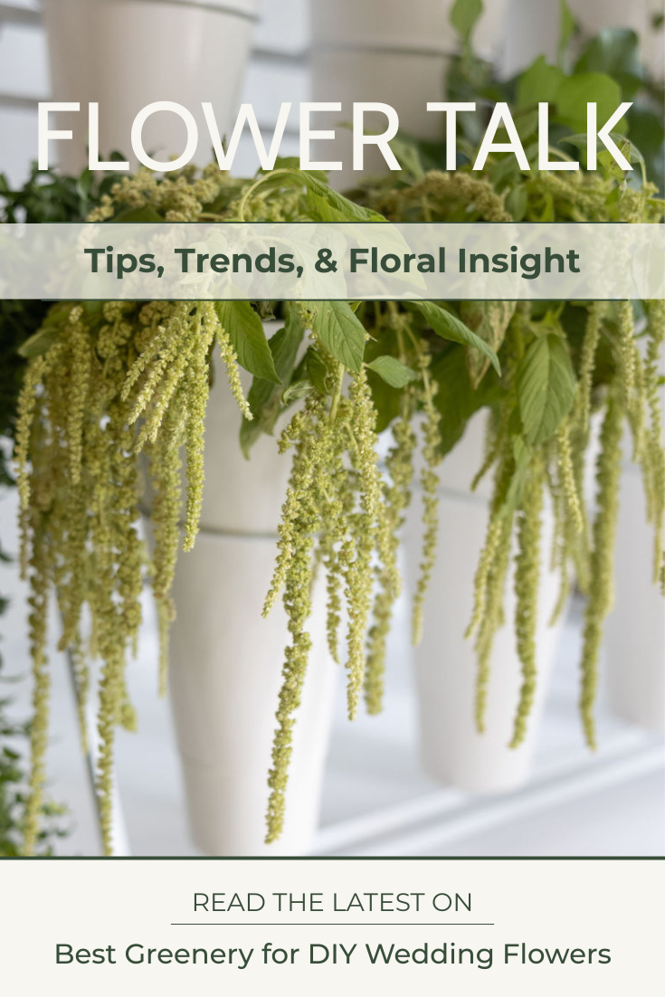 Best Greenery for DIY Wedding Flowers by Type – Bloom Culture Flowers