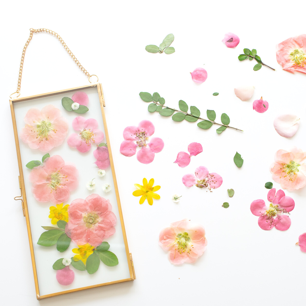 DIY Pressed Flower Art