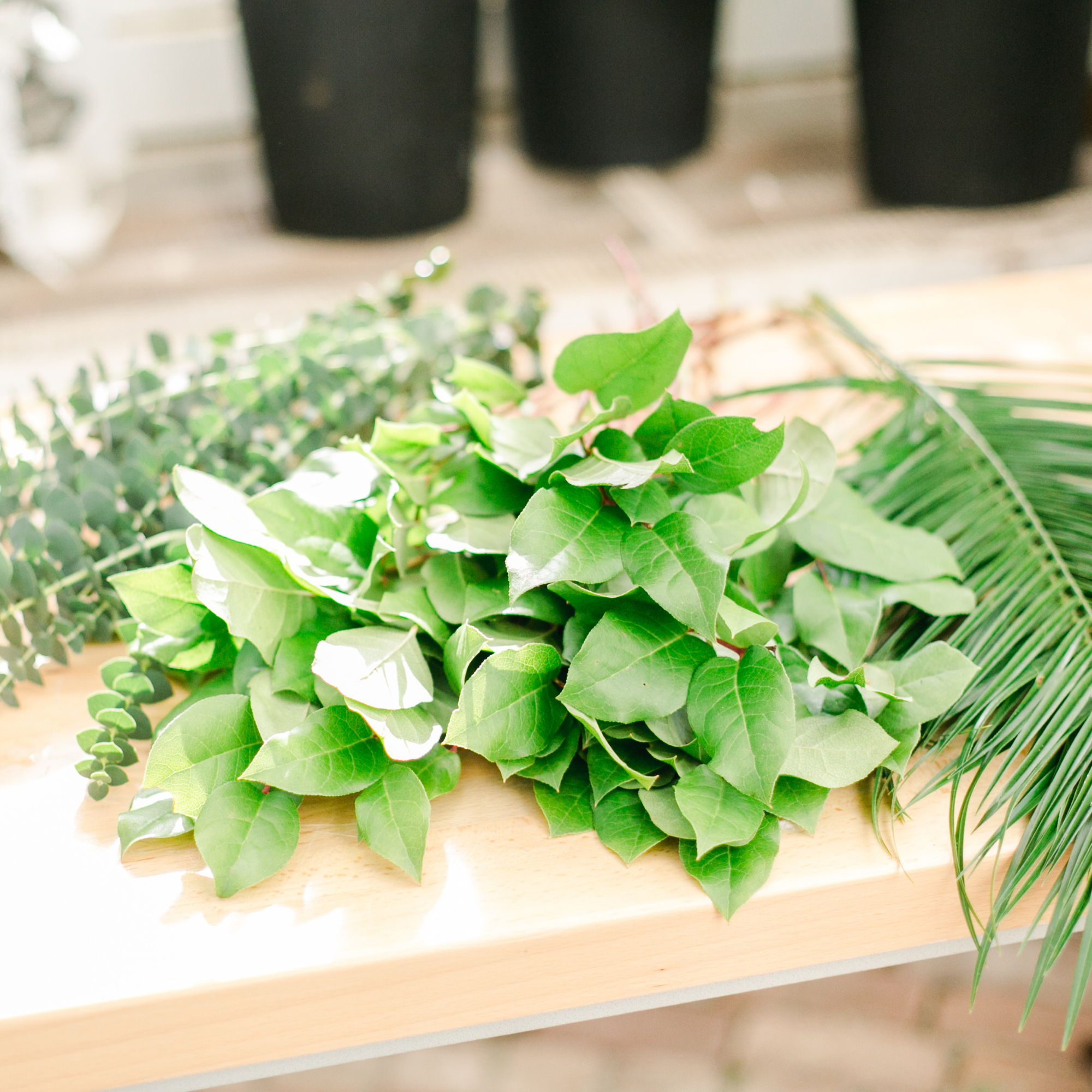 Greenery / Foliage (eucalyptus, ruscus, leatherleaf, salal, etc.)