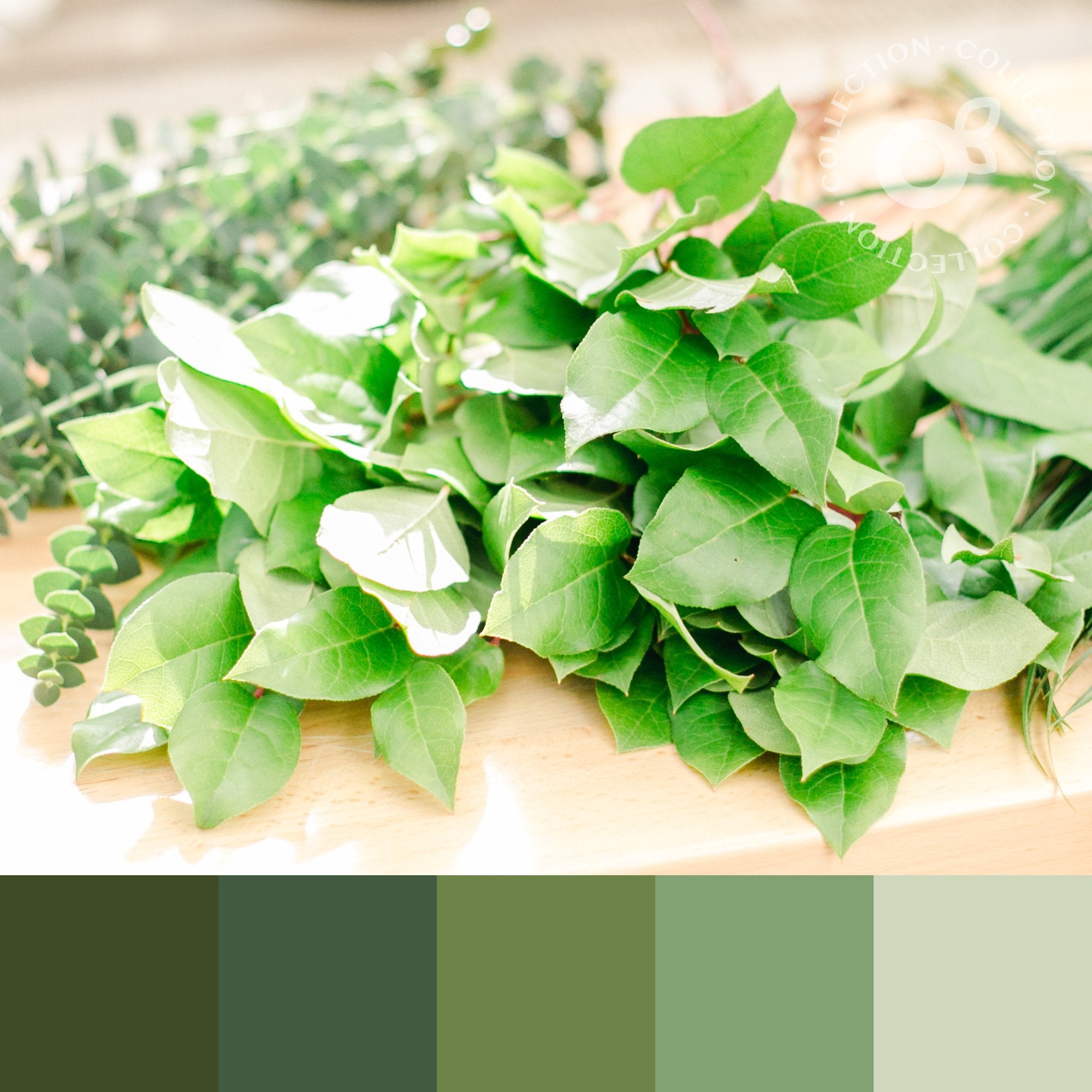 The Greenery Collection