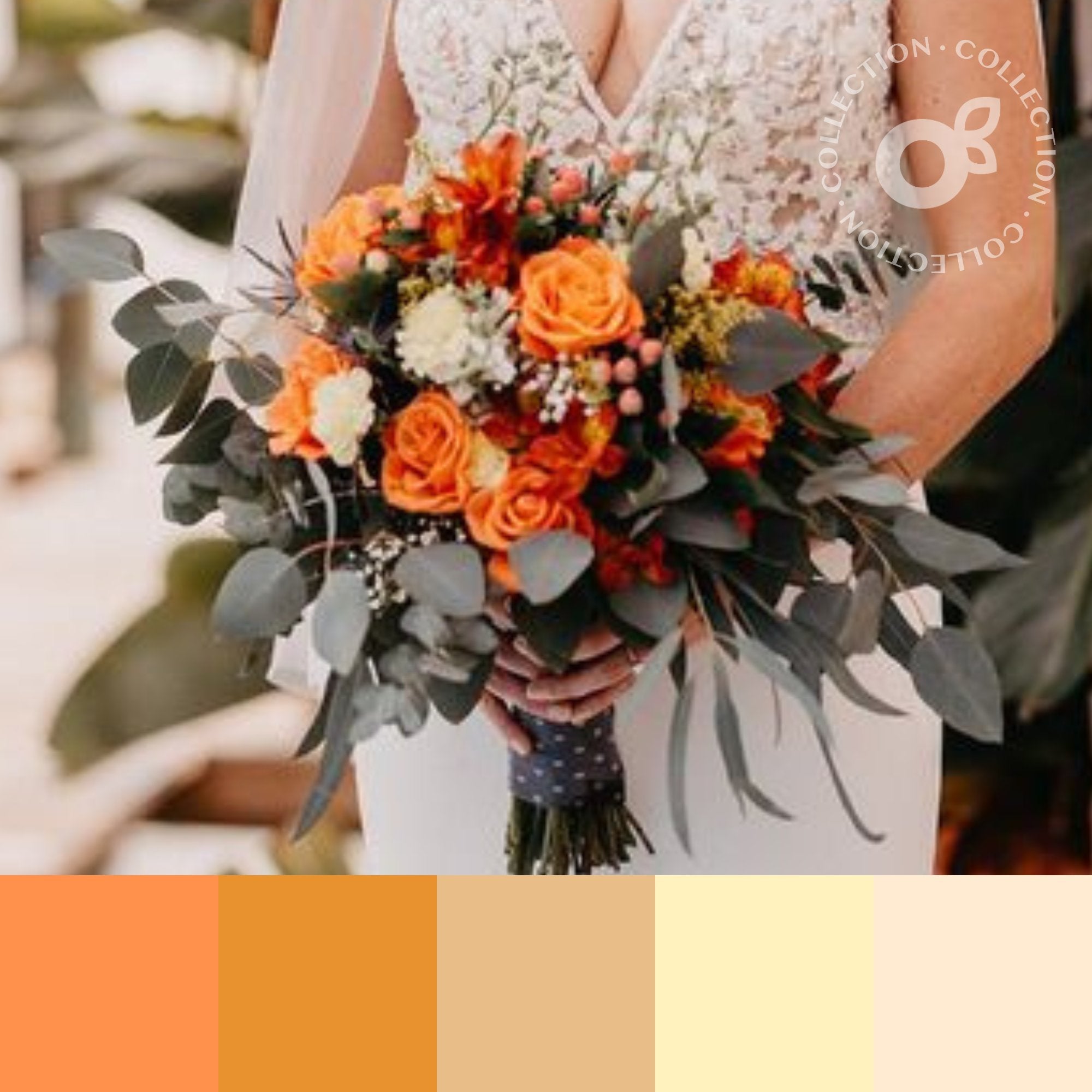 The Orange Collection