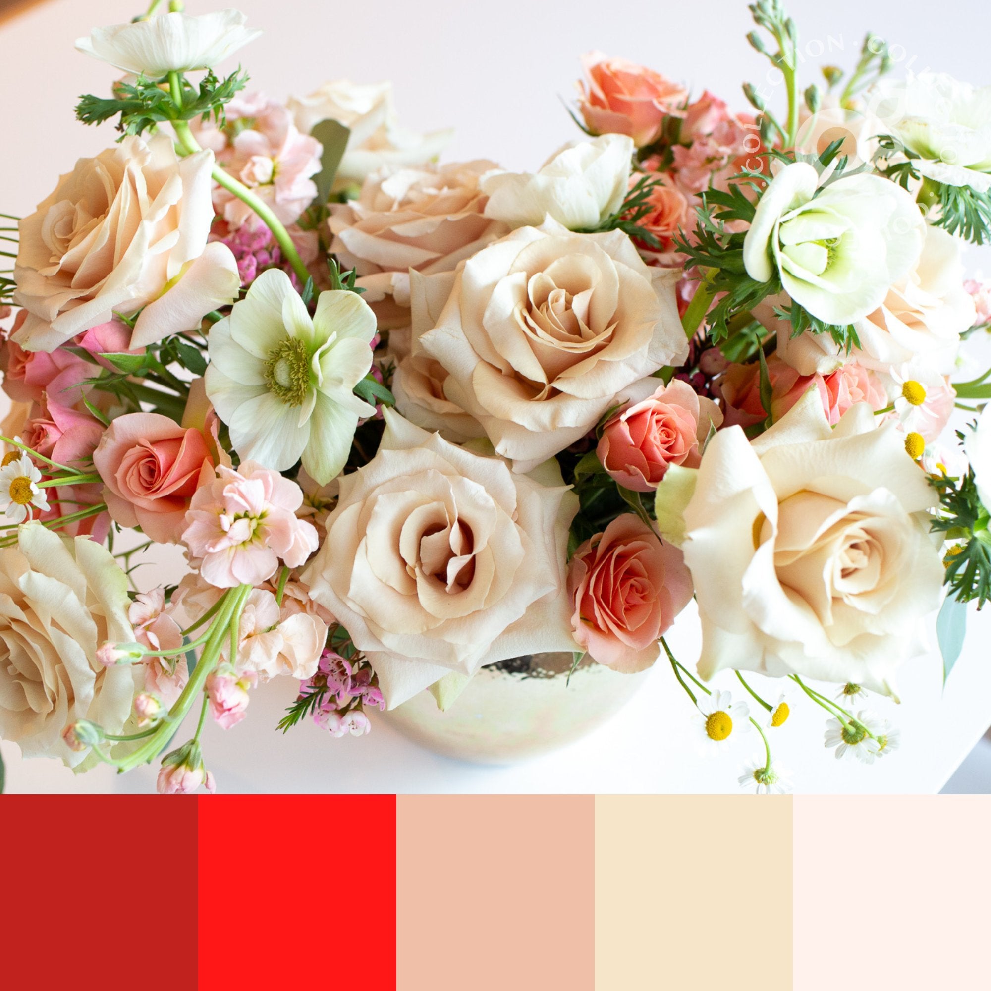 The Strawberry Champagne Collection