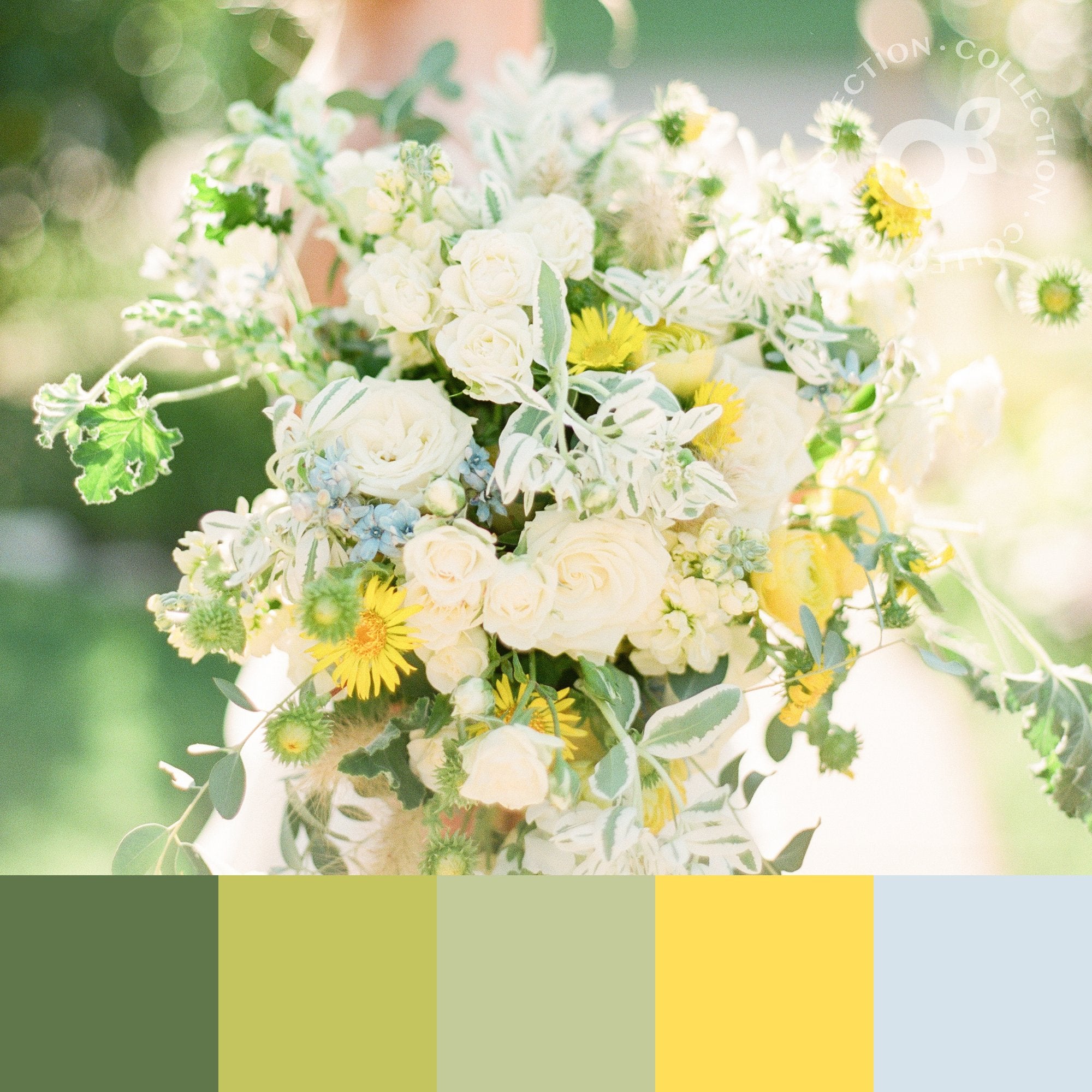 The Wildflower Collection