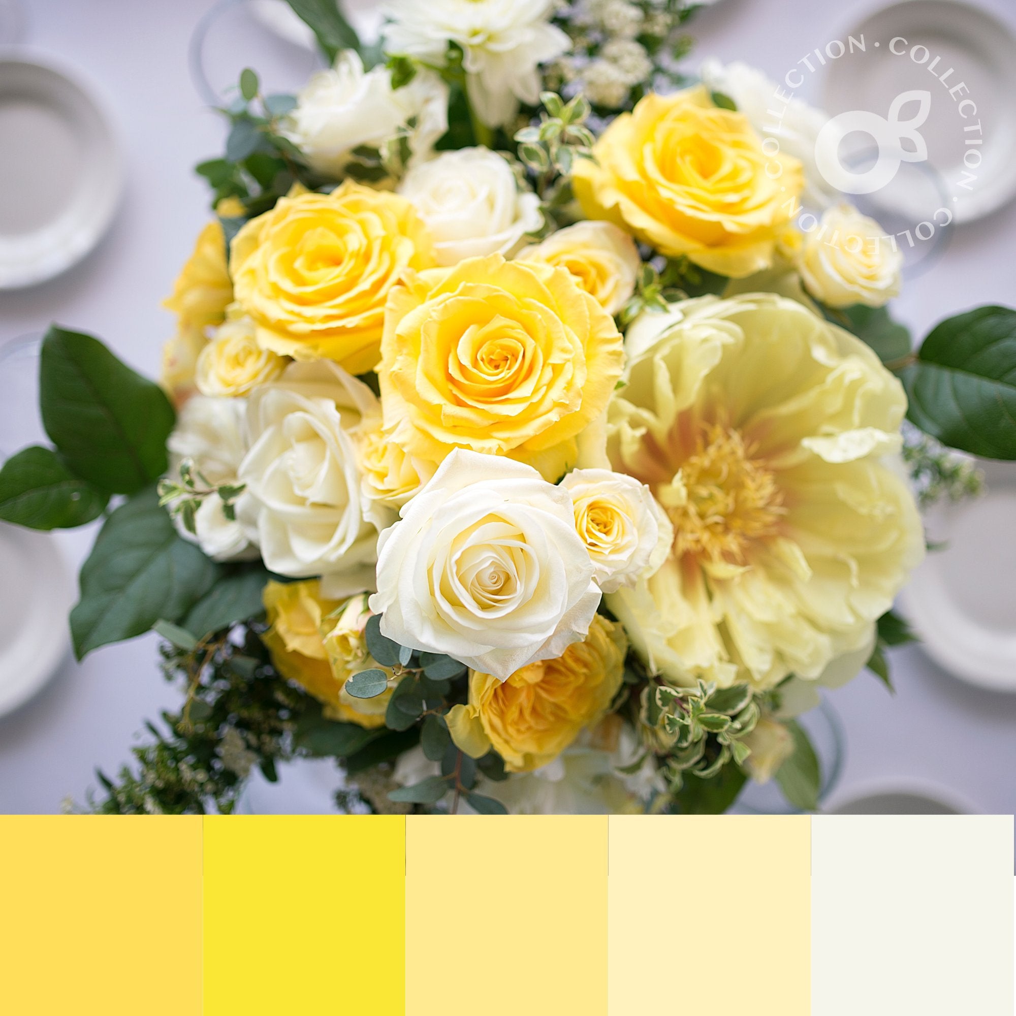 The Yellow Collection