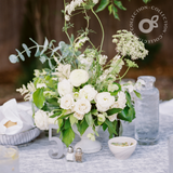 The Green & White Collection - Intimate