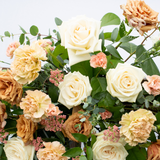 The Terracotta & Blush Collection - Small