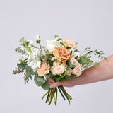 The Terracotta & Blush Collection - Large