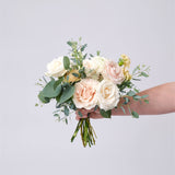 The Dusty Blush Collection - Intimate