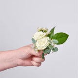 The Green & White Collection - Grand