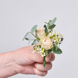 The Blush & Ivory Collection - Intimate