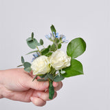 The Blush, Ivory & Blue Collection - Intimate