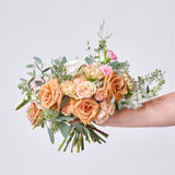 The Terracotta & Blush Collection - Intimate