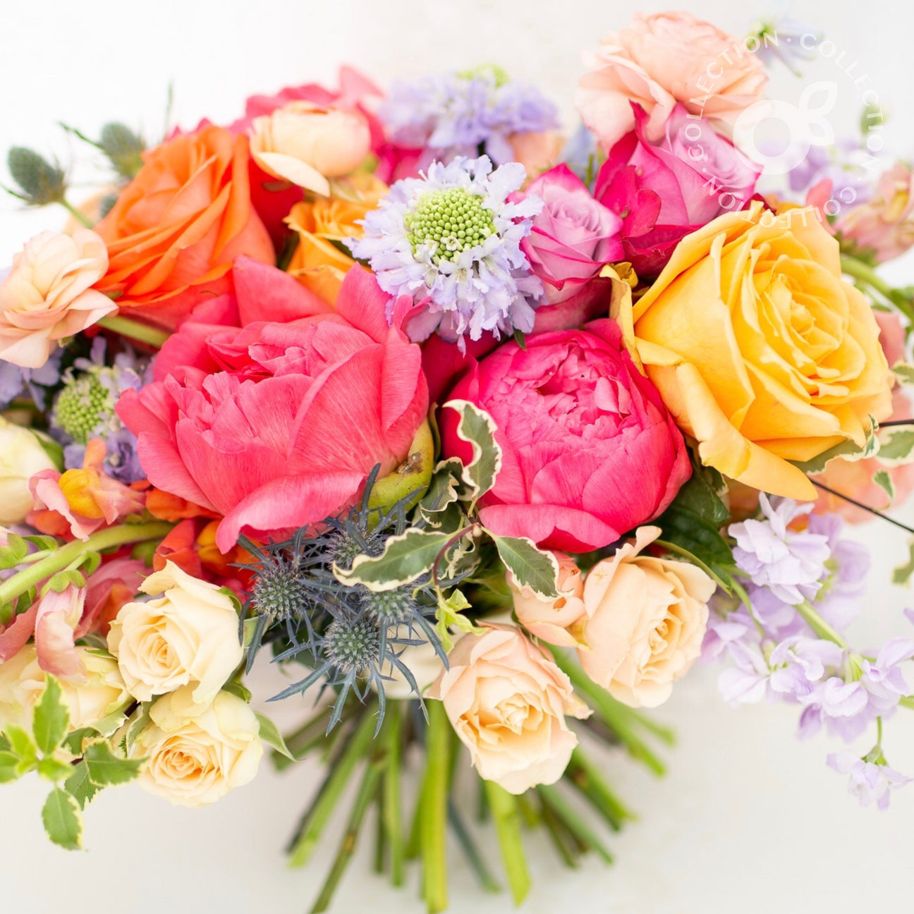 The Bright Collection Grand Bloom Culture Flowers