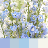 The Light Blue & White Collection - Large