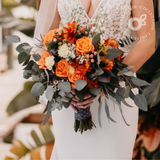 The Orange Collection - Medium