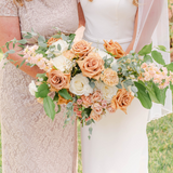 The Terracotta Collection - Intimate