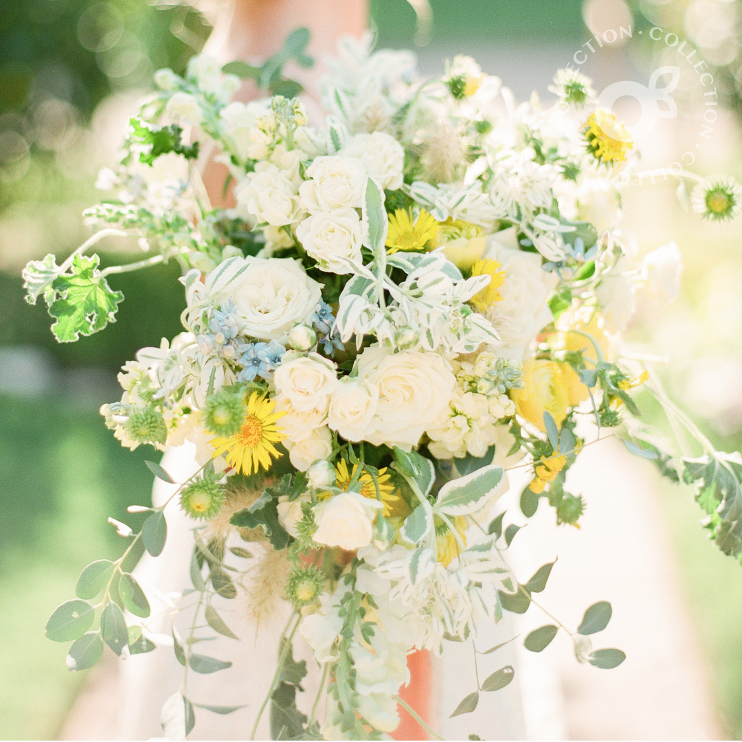 The Wildflower Collection Grand Bloom Culture Flowers