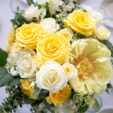 The Yellow Collection - Large
